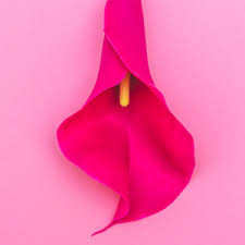 THE “OUR WIFE” SYNDROME