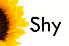 AL-HAYAA’ (SHYNESS)