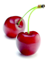 WERE SHE YOUR DAUGHTER OR SISTER…?