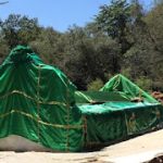 EVIL OF GRAVE WORSHIP