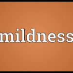 RIFQ (MILDNESS) IN DA’WAH