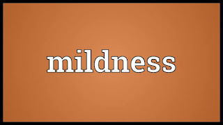 RIFQ (MILDNESS) IN DA’WAH