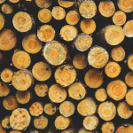 ISLAMIC SCHOLARSHIP, JALABISM, AND YAHOO+ ALFAS